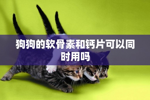 狗狗的軟骨素和鈣片可以同時用嗎