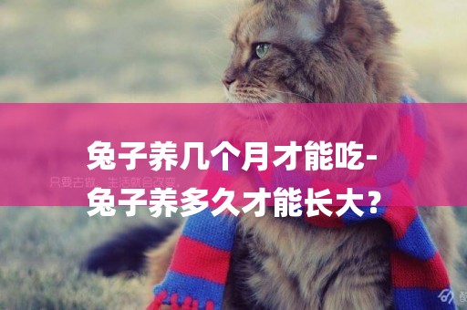 兔子養幾個月才能吃-
兔子養多久才能長大？