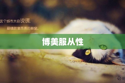 博美服從性