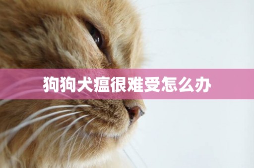狗狗犬瘟很難受怎么辦