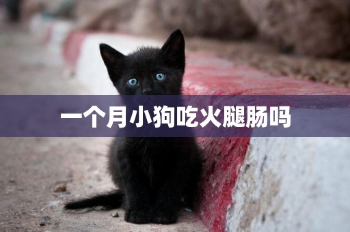 一個月小狗吃火腿腸嗎