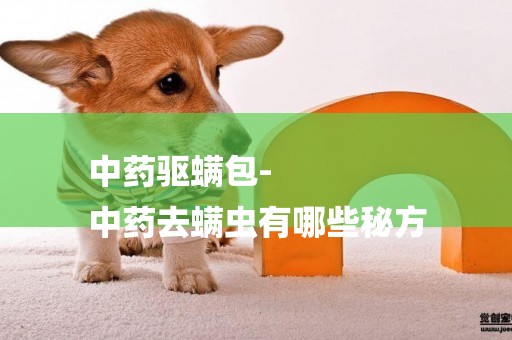 中藥驅螨包-
中藥去螨蟲有哪些秘方