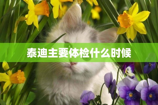 泰迪主要體檢什么時候