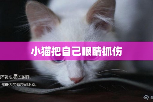 小貓把自己眼睛抓傷