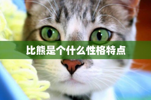 比熊是個什么性格特點