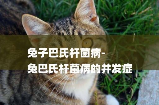 兔子巴氏桿菌病-
兔巴氏桿菌病的并發癥