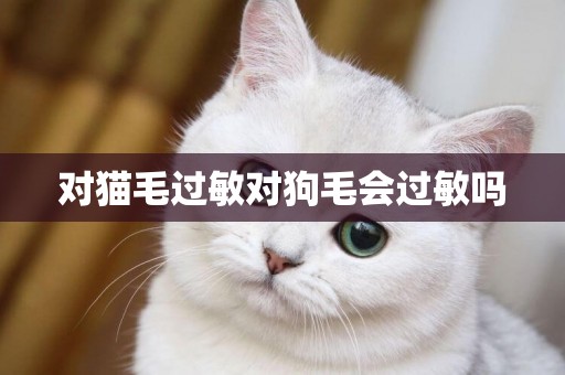 對貓毛過敏對狗毛會過敏嗎