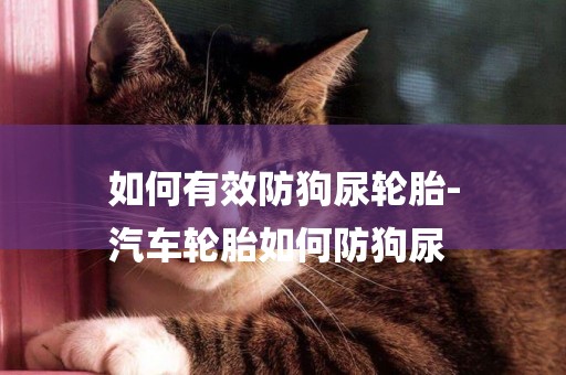如何有效防狗尿輪胎-
汽車輪胎如何防狗尿