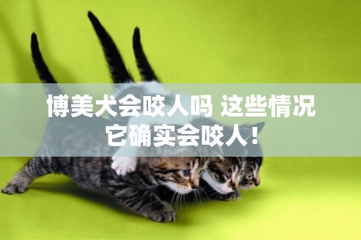 博美犬會咬人嗎 這些情況它確實會咬人！