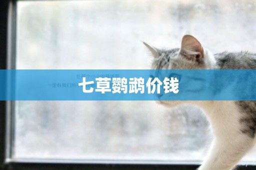 七草鸚鵡價錢