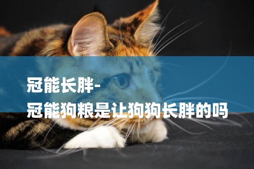 冠能長胖-
冠能狗糧是讓狗狗長胖的嗎