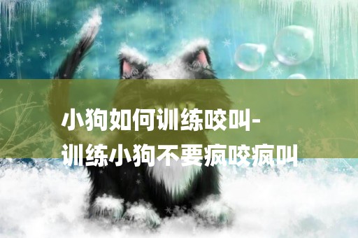 小狗如何訓練咬叫-
訓練小狗不要瘋咬瘋叫