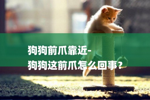 狗狗前爪靠近-
狗狗這前爪怎么回事？