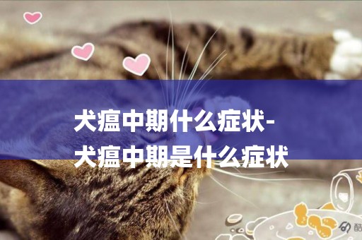 犬瘟中期什么癥狀-
犬瘟中期是什么癥狀