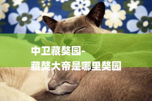 中衛藏獒園-
藏獒大帝是哪里獒園