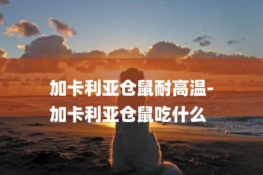 加卡利亞倉鼠耐高溫-
加卡利亞倉鼠吃什么