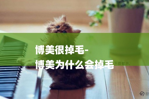 博美很掉毛-
博美為什么會掉毛