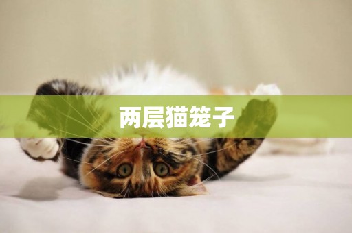 兩層貓籠子