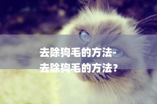 去除狗毛的方法-
去除狗毛的方法？
