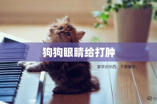 狗狗眼睛給打腫