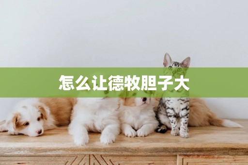怎么讓德牧膽子大