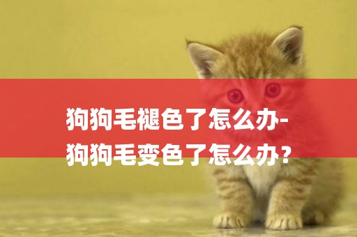 狗狗毛褪色了怎么辦-
狗狗毛變色了怎么辦？