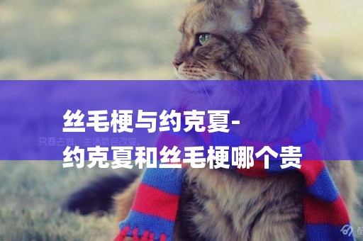絲毛梗與約克夏-
約克夏和絲毛梗哪個貴