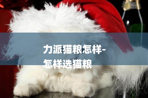 力派貓糧怎樣-
怎樣選貓糧