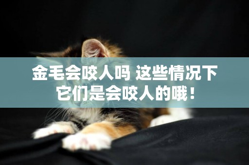 金毛會咬人嗎 這些情況下它們是會咬人的哦！