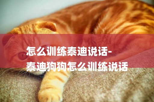 怎么訓練泰迪說話-
泰迪狗狗怎么訓練說話