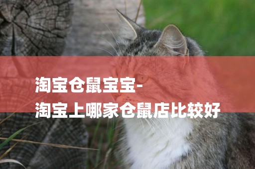 淘寶倉鼠寶寶-
淘寶上哪家倉鼠店比較好