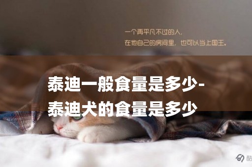 泰迪一般食量是多少-
泰迪犬的食量是多少