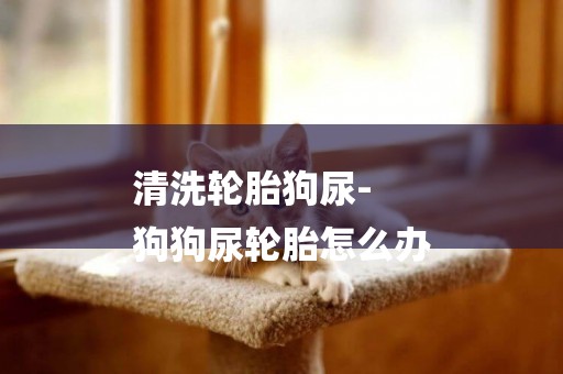 清洗輪胎狗尿-
狗狗尿輪胎怎么辦
