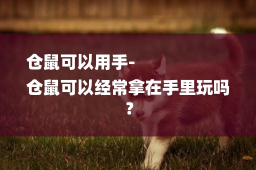 倉鼠可以用手-
倉鼠可以經常拿在手里玩嗎？