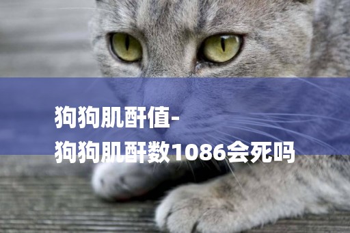 狗狗肌酐值-
狗狗肌酐數1086會死嗎