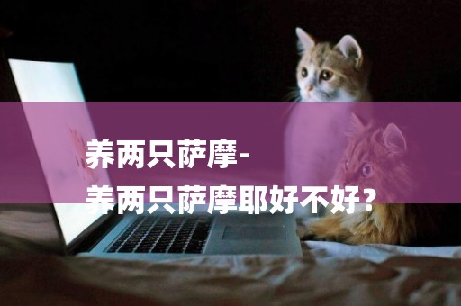 養兩只薩摩-
養兩只薩摩耶好不好？
