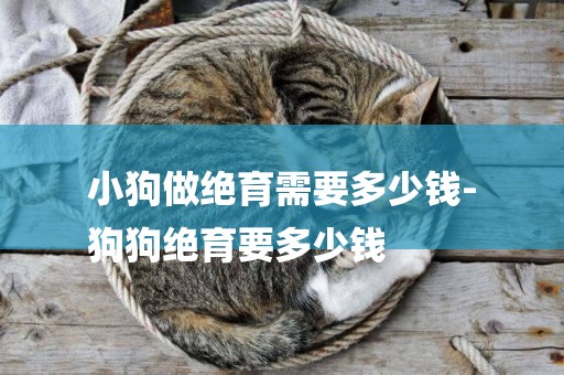 小狗做絕育需要多少錢-
狗狗絕育要多少錢