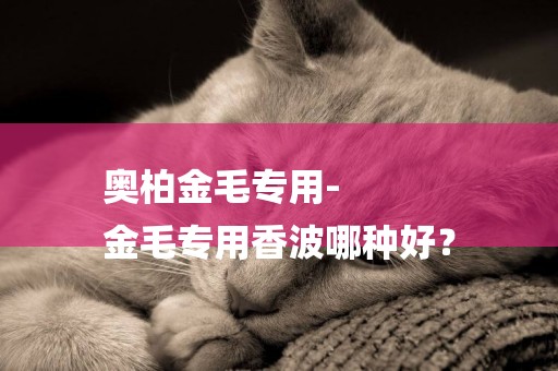 奧柏金毛專用-
金毛專用香波哪種好？