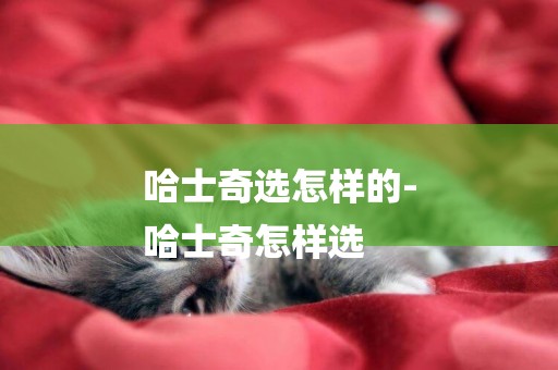 哈士奇選怎樣的-
哈士奇怎樣選