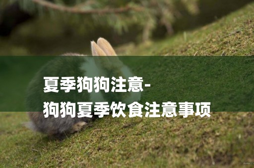 夏季狗狗注意-
狗狗夏季飲食注意事項