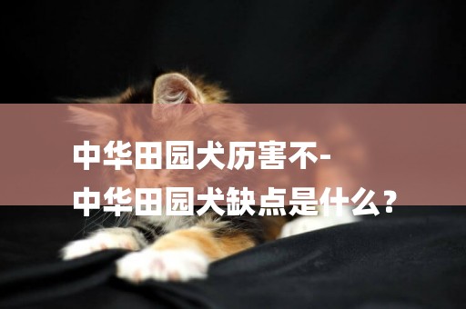 中華田園犬歷害不-
中華田園犬缺點是什么？