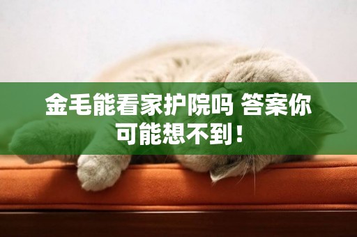 金毛能看家護院嗎 答案你可能想不到！