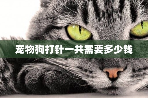 寵物狗打針一共需要多少錢