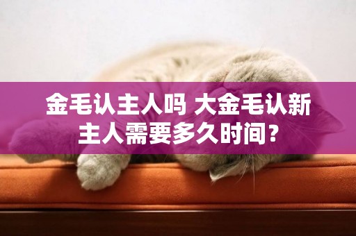 金毛認主人嗎 大金毛認新主人需要多久時間？