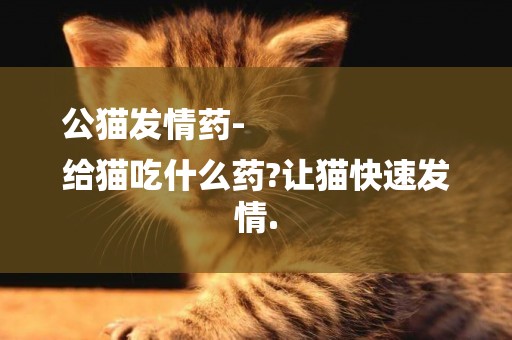 公貓發情藥-
給貓吃什么藥?讓貓快速發情.