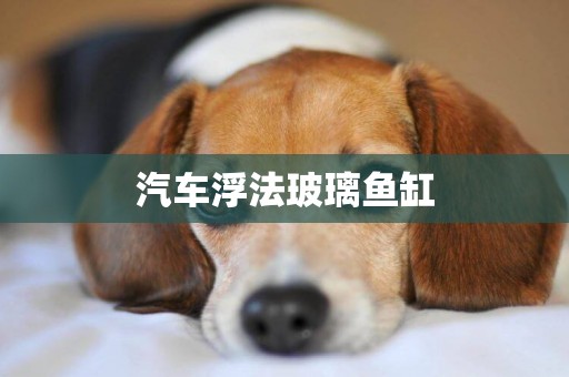 汽車浮法玻璃魚缸