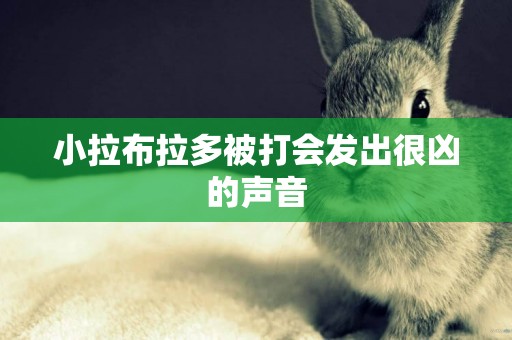 小拉布拉多被打會發出很兇的聲音