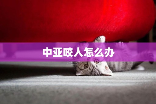 中亞咬人怎么辦