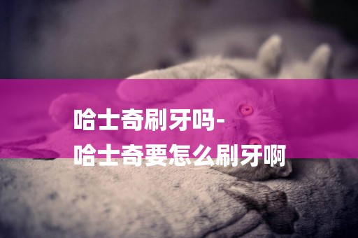 哈士奇刷牙嗎-
哈士奇要怎么刷牙啊