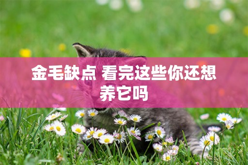 金毛缺點 看完這些你還想養它嗎
